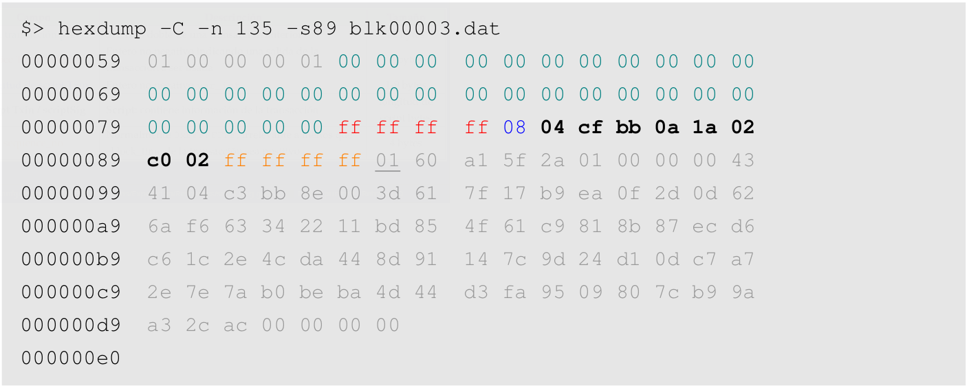 Hex dump highlighting the coinbase input